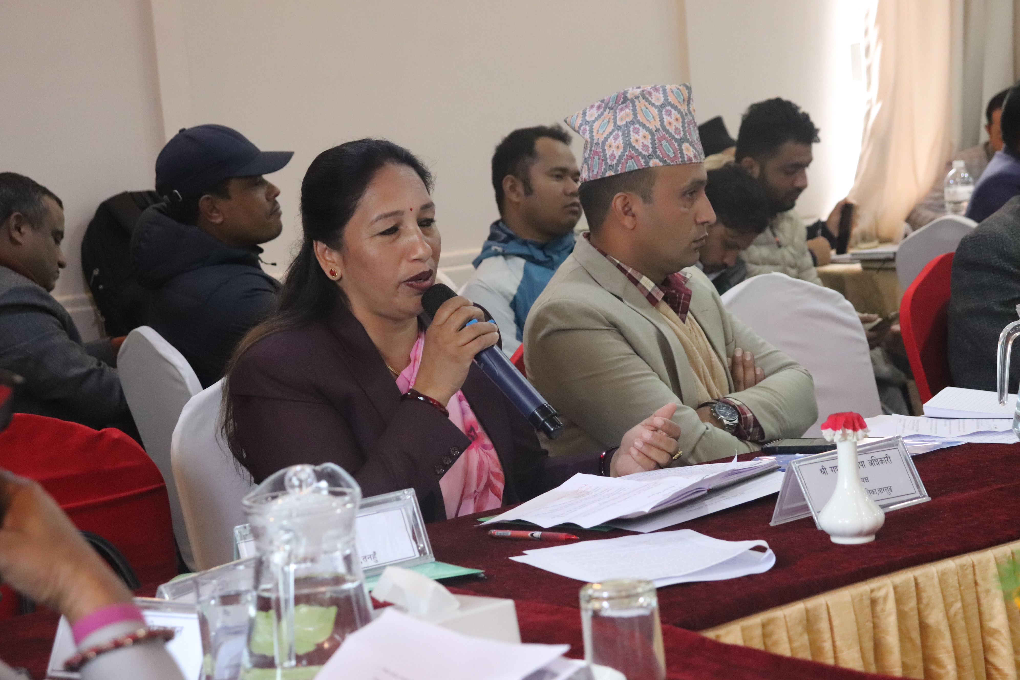 प्रदेश विकास समस्या समाधान समितिको दशौ बैठक (मिति २०८१ मंसिर २१)