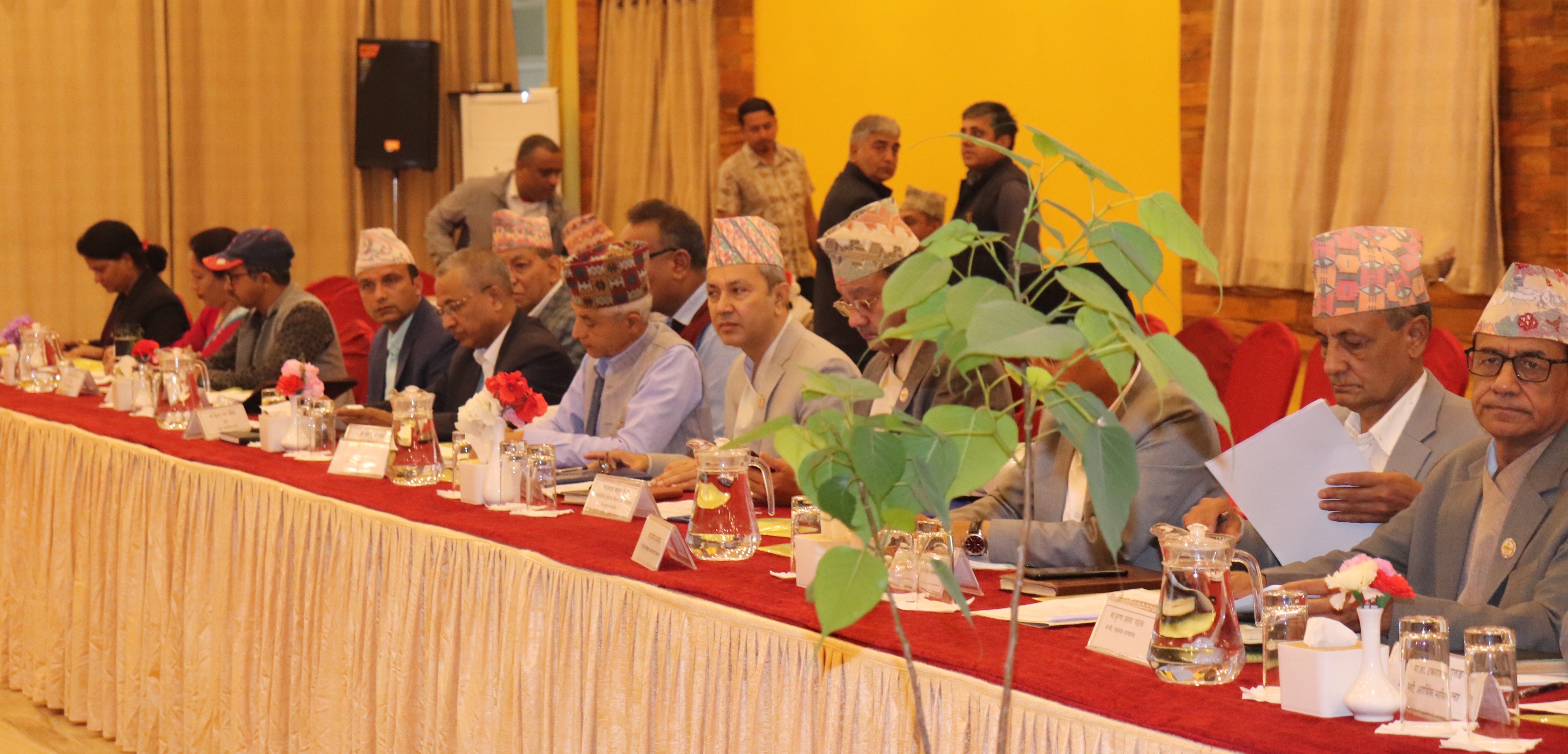 एघारौ प्रदेश विकास समस्या समाधान समितिका बैठक (मिति: २०८१/१२/२८)